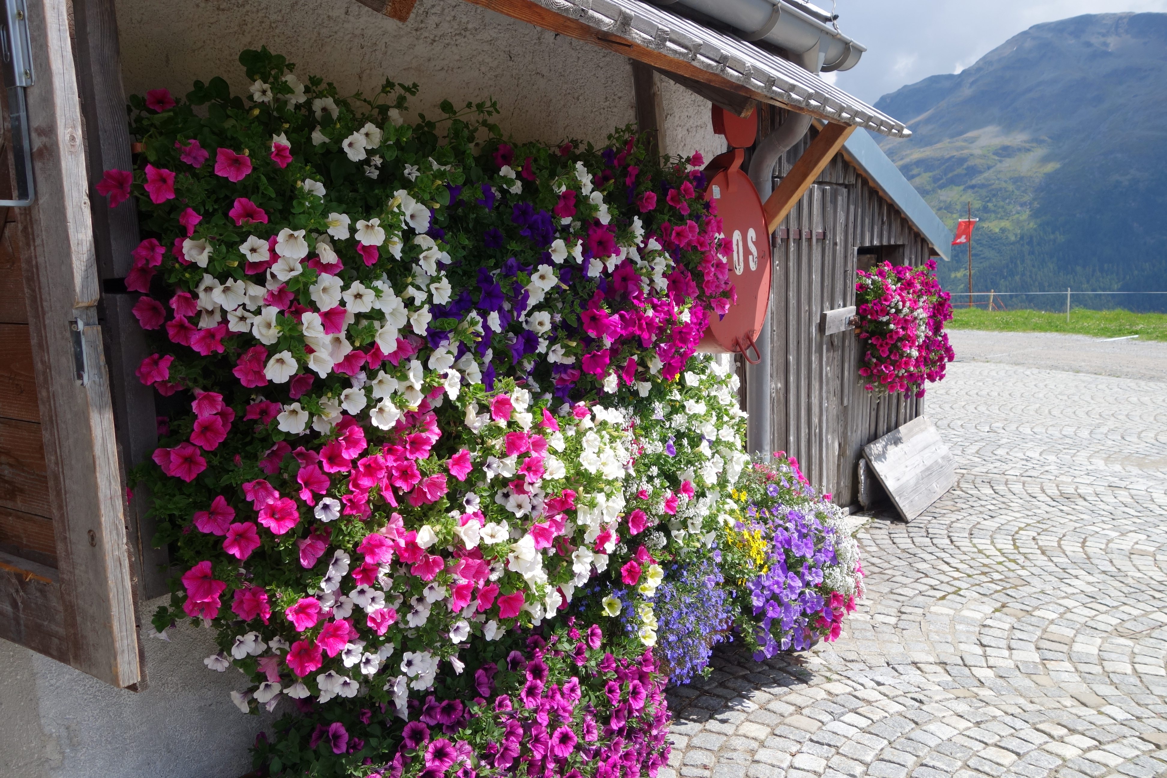Switzerland
